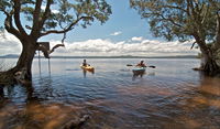 Mungo Brush campground - Surfers Gold Coast