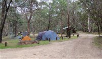 Native Dog campground - Accommodation Tasmania