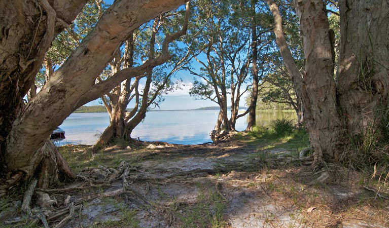 Bungwahl NSW Redcliffe Tourism