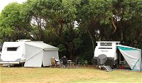 Pretty Beach campground - Murramarang National Park - Tourism Adelaide