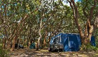 Stewart and Lloyds campground - Accommodation Nelson Bay
