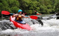 The Steps of Girrba Campground - Accommodation Noosa