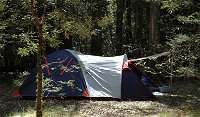 Thungutti campground - Accommodation Brisbane