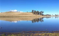 Bombala Maneroo Motel - Bombala - Accommodation Great Ocean Road