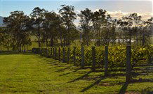 Pokolbin NSW Tourism Adelaide