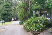 Tamborine Mountain Caravan  Camping