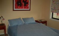 Busy Buzz - Tweed Heads Accommodation