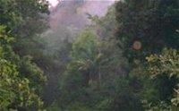 Havans Ecotourist Retreat - - Whitsundays Tourism