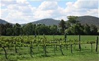 Jessica's Guest House and Vineyard - Tourism Brisbane