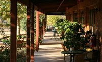 The Vineyard Motel - Tourism Canberra