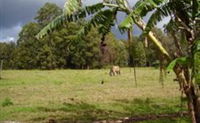 The Watertank Bed and Breakfast - ACT Tourism