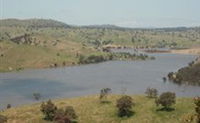 In The Heart Of Husky - Mount Gambier Accommodation