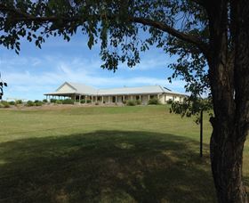  Accommodation Daintree