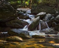 Fishery Falls Holiday Park - Whitsundays Tourism