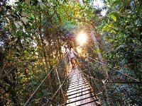O'Reilly's Rainforest Retreat - C Tourism