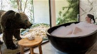 Jamala Wildlife Lodge - Accommodation Resorts