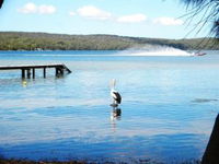 Dungowan Waterfront  Accommodation - Lennox Head Accommodation