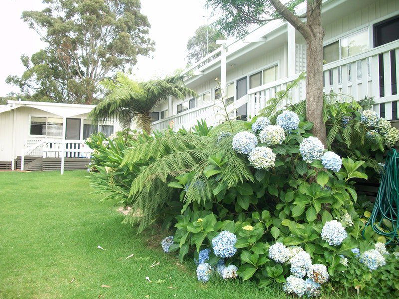 Millingandi NSW Accommodation Gold Coast