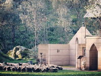 Table Top Mountain Retreat - Accommodation Noosa