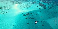 Ocean Free and Ocean Freedom - Cairns Premier Reef and Island Tours - Accommodation Coffs Harbour