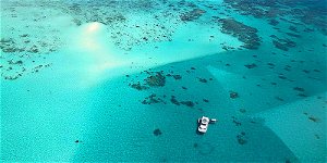 Ocean Free and Ocean Freedom - Cairns Premier Reef and Island Tours