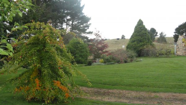 Niangala NSW Accommodation Main Beach