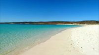 Osprey Bay Campground at Cape Range National Park - Accommodation Australia