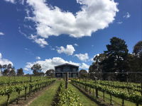 Mortimer's Accommodation amongst the Vines - Redcliffe Tourism