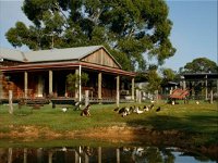 Tobruk Sydney Farm Stay - Townsville Tourism