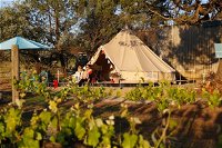 Grapevine Glamping - Accommodation in Brisbane