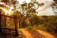 Kurrajong Trails and Cottages - Mackay Tourism