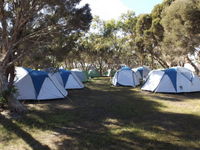 Discovery Lagoon Camping Grounds - Whitsundays Tourism