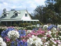 Emmas Cottage Vineyard - Tourism Canberra