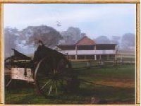 Megalong Valley Farm - Geraldton Accommodation