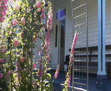 Devonport Bed And Breakfast - Redcliffe Tourism