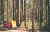 Nanga Mill Camp at Lane Poole Reserve - Accommodation in Brisbane