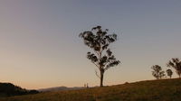 Faulls Ridge Winery - Accommodation Mermaid Beach