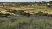 Brayfield Cottage - Tourism Caloundra