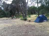 Allports Beach Camping Ground - WA Accommodation