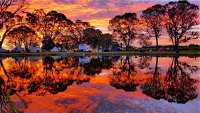 Coonawarra Bush Holiday Park - Hervey Bay Accommodation