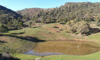 Horseshoe Rim - Wilderness Cabin - Accommodation Yamba