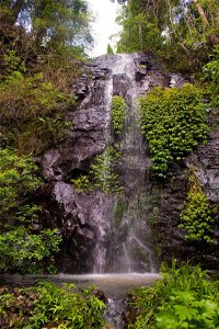Nimbin waterfall retreat - Accommodation Port Hedland