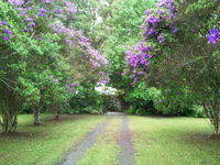 Serendip River Retreat