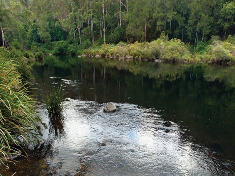 Wild Cattle Creek NSW Mackay Tourism