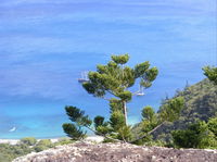 Crayfish Beach Hook Island - Tourism Adelaide