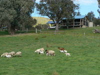 Gaddleen Grove Cottages - Townsville Tourism