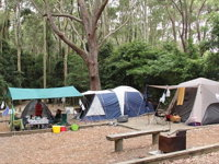 Pebbly Beach campground - Yuraygir National Park - ACT Tourism
