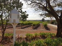 'In The Vines' Guest Cottage - Accommodation QLD