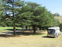 Joe O'Connor Park - Accommodation Sunshine Coast