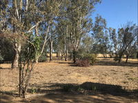 Kadesh Mudbrick Cottage - Accommodation Adelaide